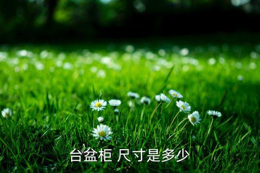 臺(tái)盆柜 尺寸是多少
