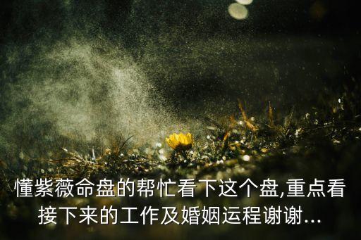 懂紫薇命盤的幫忙看下這個盤,重點看接下來的工作及婚姻運程謝謝...