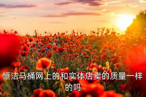 恒潔馬桶網上的和實體店賣的質量一樣的嗎