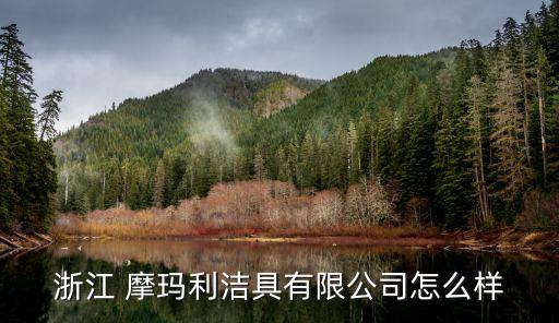 浙江 摩瑪利潔具有限公司怎么樣