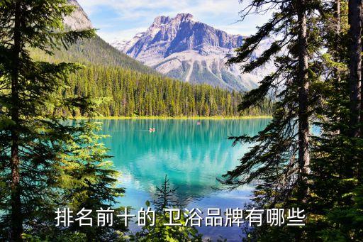 排名前十的 衛(wèi)浴品牌有哪些