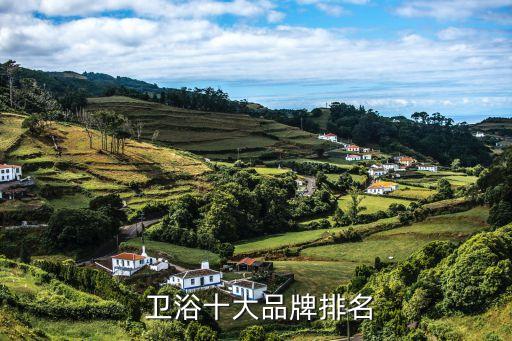 現(xiàn)在衛(wèi)浴有哪些是好品牌