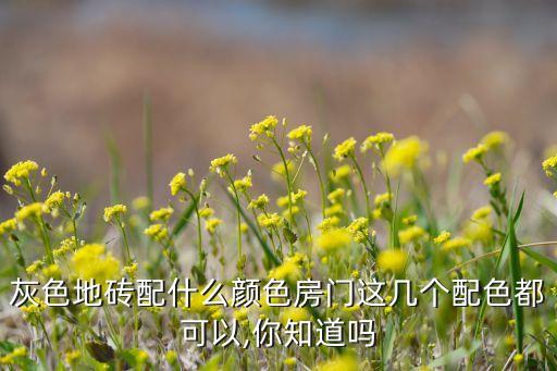 灰磚怎么搭配衛(wèi)浴好看圖片