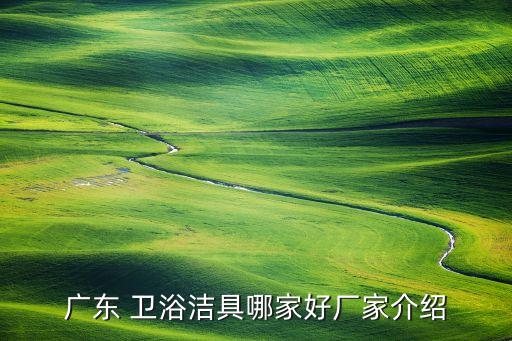 制造衛(wèi)浴工廠有哪些品牌,衛(wèi)浴代工廠廣東有哪些