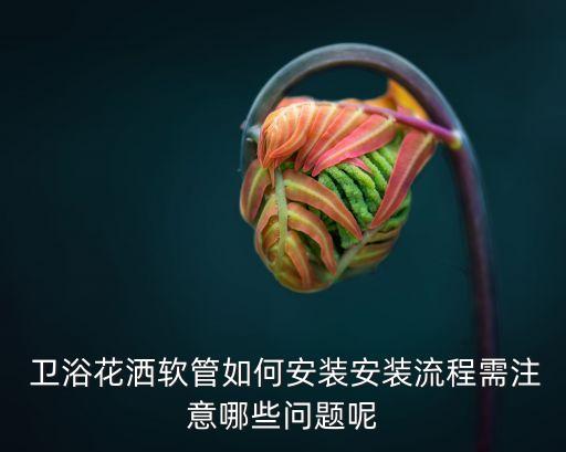  衛(wèi)浴花灑軟管如何安裝安裝流程需注意哪些問(wèn)題呢