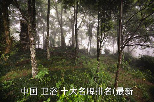 中國 衛(wèi)浴 十大名牌排名(最新