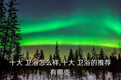 十大 衛(wèi)浴怎么樣,十大 衛(wèi)浴的推薦有哪些