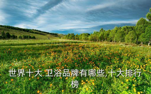 世界十大 衛(wèi)浴品牌有哪些,十大排行榜