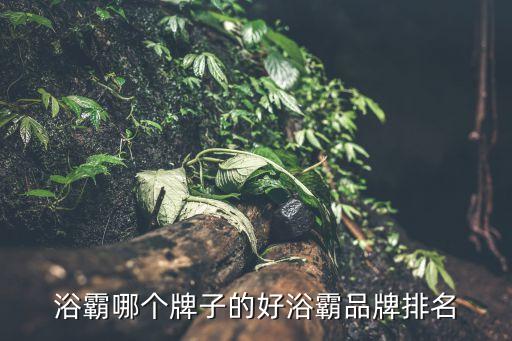 浴霸哪個牌子的好浴霸品牌排名