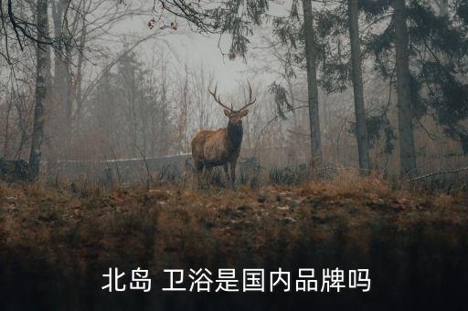  北島 衛(wèi)浴是國(guó)內(nèi)品牌嗎
