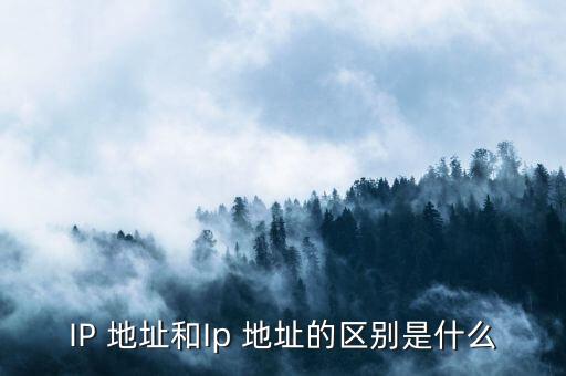IP 地址和Ip 地址的區(qū)別是什么