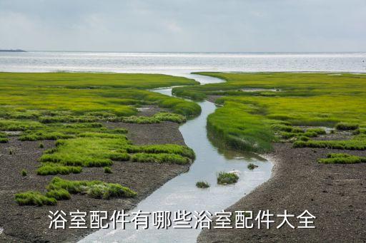衛(wèi)浴五金線槽圖片大全,五金衛(wèi)浴包括哪些