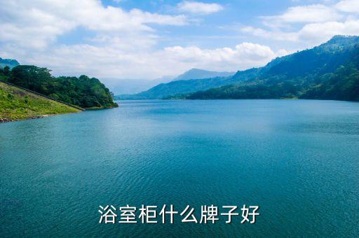 浴室柜什么牌子好