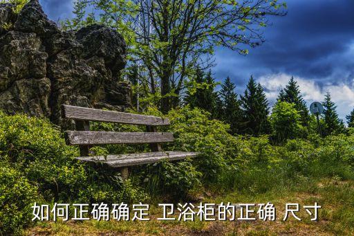 衛(wèi)浴套裝安裝尺寸圖片大全