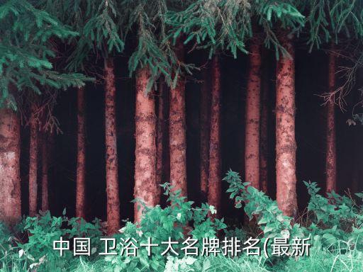 中國 衛(wèi)浴十大名牌排名(最新