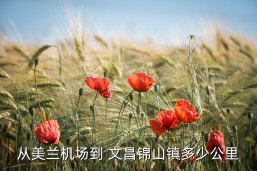 從美蘭機(jī)場(chǎng)到 文昌錦山鎮(zhèn)多少公里