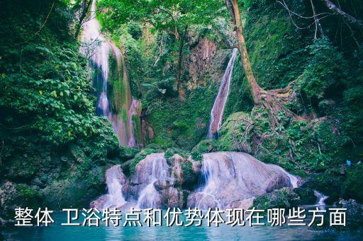 整體 衛(wèi)浴特點(diǎn)和優(yōu)勢(shì)體現(xiàn)在哪些方面