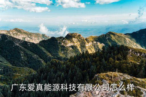 廣東愛真能源科技有限公司怎么樣