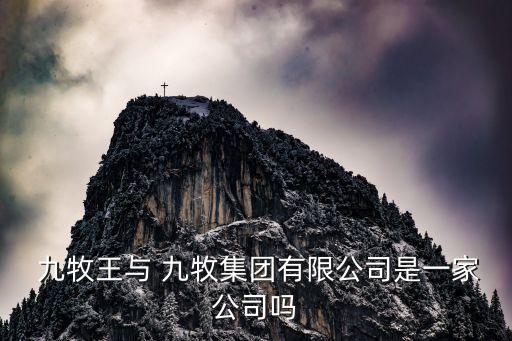  九牧王與 九牧集團(tuán)有限公司是一家公司嗎