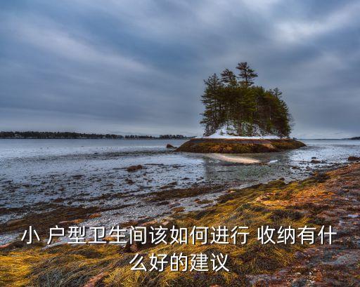 小 戶型衛(wèi)生間該如何進行 收納有什么好的建議