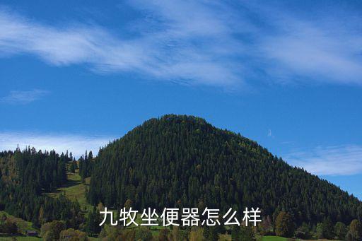 九牧坐便器怎么樣