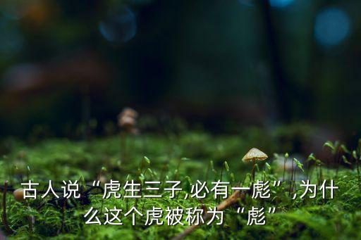 臨沂彪豹衛(wèi)浴地址