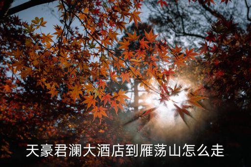 天豪君瀾大酒店到雁蕩山怎么走