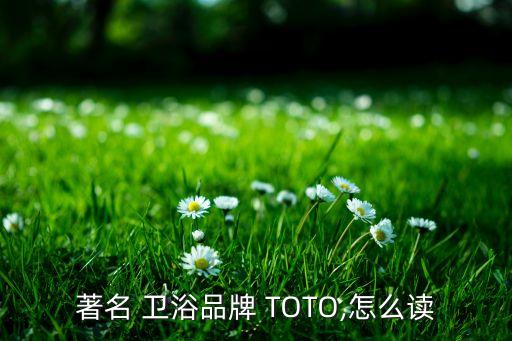 著名 衛(wèi)浴品牌 TOTO,怎么讀