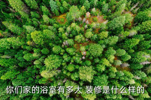 你們家的浴室有多大 裝修是什么樣的
