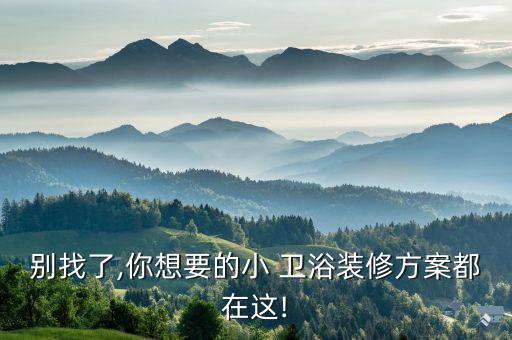 別找了,你想要的小 衛(wèi)浴裝修方案都在這!