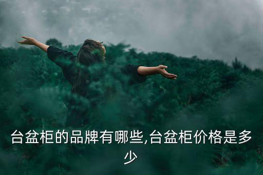 臺盆柜的品牌有哪些,臺盆柜價格是多少
