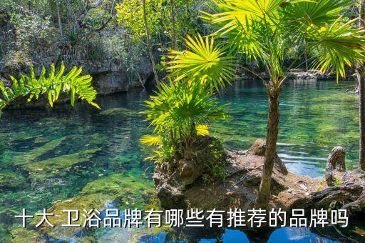 十大 衛(wèi)浴品牌有哪些有推薦的品牌嗎