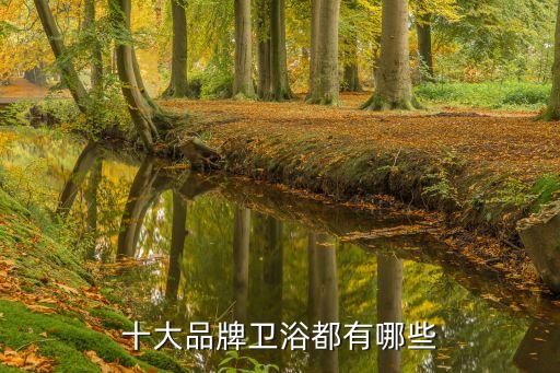 十大品牌衛(wèi)浴都有哪些