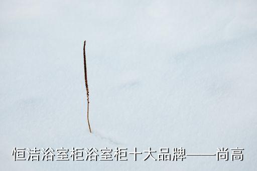 恒潔浴室柜浴室柜十大品牌——尚高