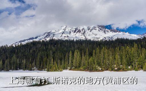上海哪有打 斯諾克的地方(黃浦區(qū)的