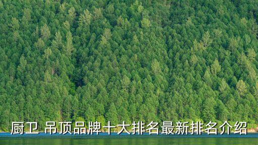廚衛(wèi) 吊頂品牌十大排名最新排名介紹