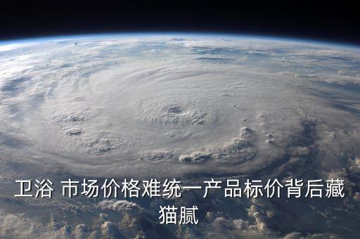 衛(wèi)浴 市場(chǎng)價(jià)格難統(tǒng)一產(chǎn)品標(biāo)價(jià)背后藏貓膩
