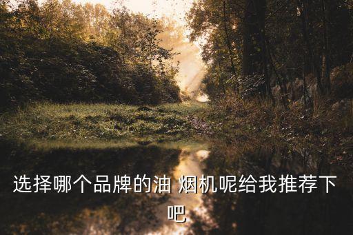 選擇哪個(gè)品牌的油 煙機(jī)呢給我推薦下吧