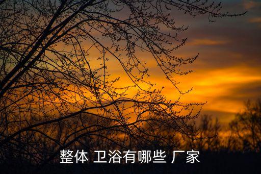 整體 衛(wèi)浴有哪些 廠家