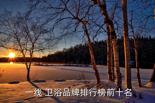 衛(wèi)浴哪些品牌算一線,中國一線衛(wèi)浴品牌排行有哪些
