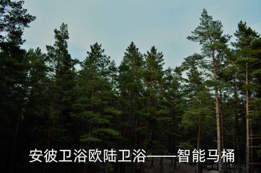  安彼衛(wèi)浴歐陸衛(wèi)浴——智能馬桶
