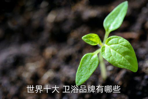 世界十大 衛(wèi)浴品牌有哪些