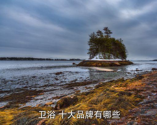 國(guó)外十大衛(wèi)浴品牌最新排名,進(jìn)口衛(wèi)浴十大品牌最新排名榜單圖片
