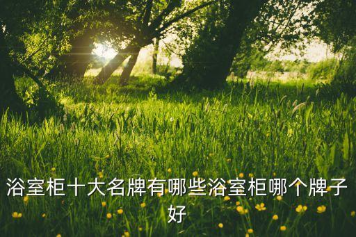 浴室柜十大名牌有哪些浴室柜哪個(gè)牌子好
