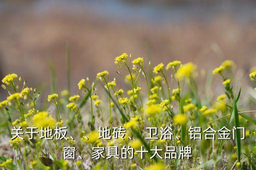 關(guān)于地板、、地磚、 衛(wèi)浴、鋁合金門窗、家具的十大品牌