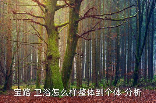 寶路 衛(wèi)浴怎么樣整體到個(gè)體 分析