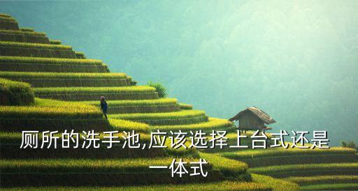 廁所的洗手池,應(yīng)該選擇上臺式還是 一體式