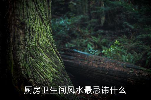 衛(wèi)浴間的十大禁忌圖片