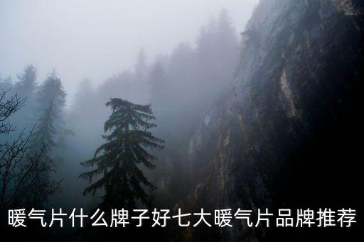 暖氣片什么牌子好七大暖氣片品牌推薦