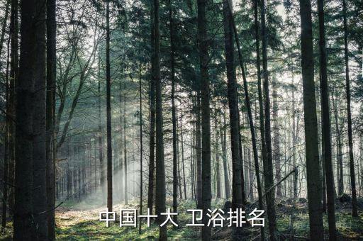 中國(guó)十大 衛(wèi)浴排名